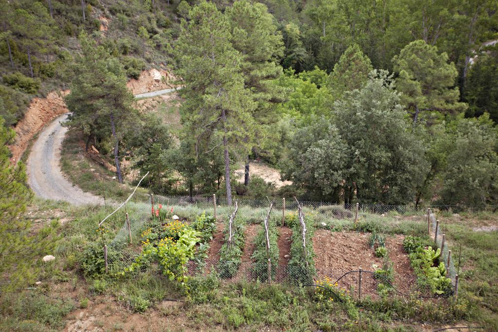 ホテルMasia Ca L'Anima La Baronia de Rialb 部屋 写真