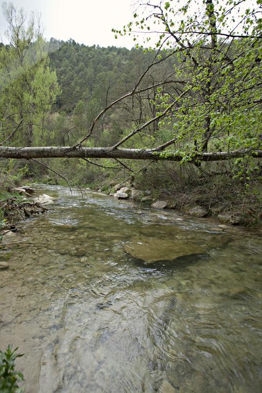 ホテルMasia Ca L'Anima La Baronia de Rialb 部屋 写真