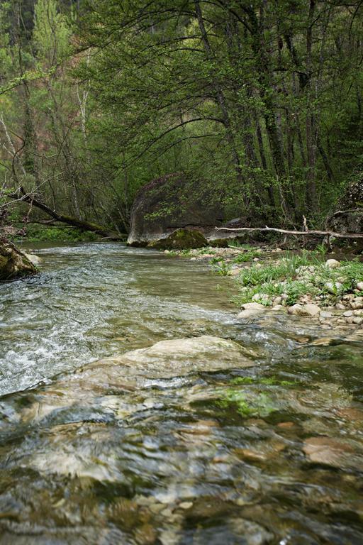 ホテルMasia Ca L'Anima La Baronia de Rialb 部屋 写真